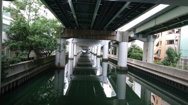 写真９．安堂寺橋から上流を臨む