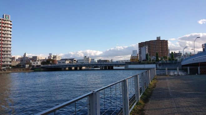 写真16．木津川左岸遊歩道から大正橋を臨む