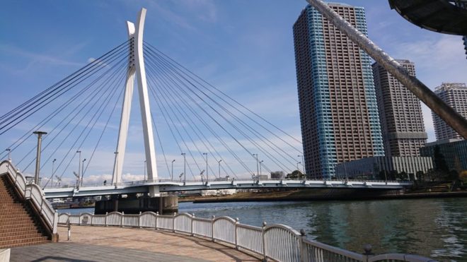 写真29．隅田川右岸下流側から見た中央大橋