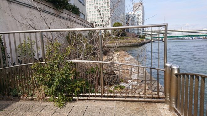 写真42．隅田川テラスが日本橋川河口で行き止まり