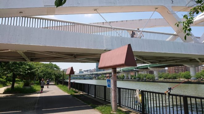 写真24．大川左岸水辺遊歩道が、飛翔橋の下を潜る様子