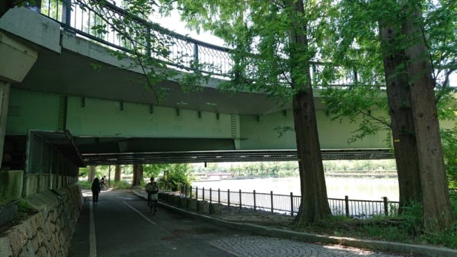 写真15．水辺遊歩道が、源八橋の下を潜り抜ける様子